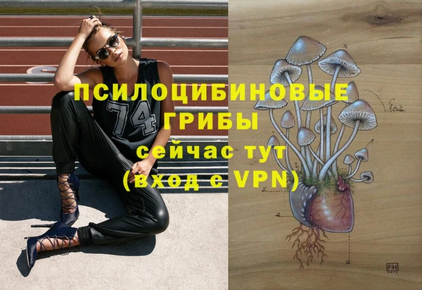 ГАЛЛЮЦИНОГЕННЫЕ ГРИБЫ Арсеньев