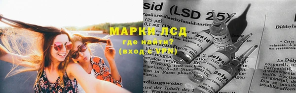 ГАЛЛЮЦИНОГЕННЫЕ ГРИБЫ Арсеньев