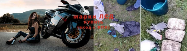 ГАЛЛЮЦИНОГЕННЫЕ ГРИБЫ Арсеньев