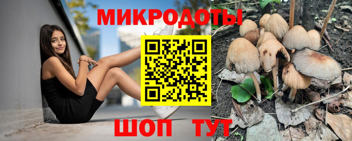 Псилоцибиновые грибы мухоморы Асбест
